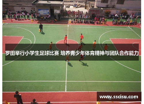 罗田举行小学生足球比赛 培养青少年体育精神与团队合作能力