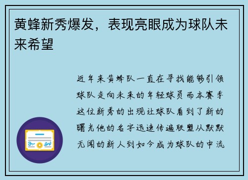 黄蜂新秀爆发，表现亮眼成为球队未来希望
